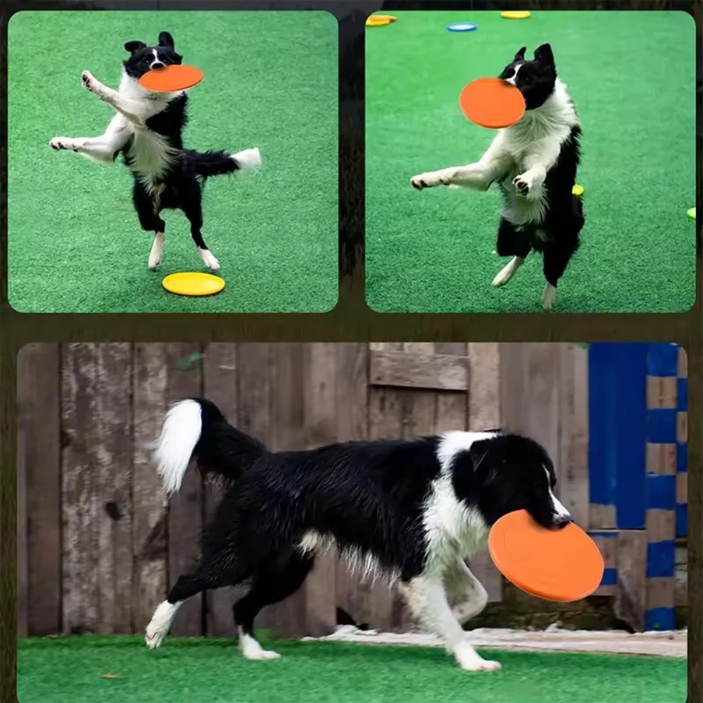 Flying Disc Dog Training Toy - Mainan Anjing Terapung TPR, Disk Terbang,
