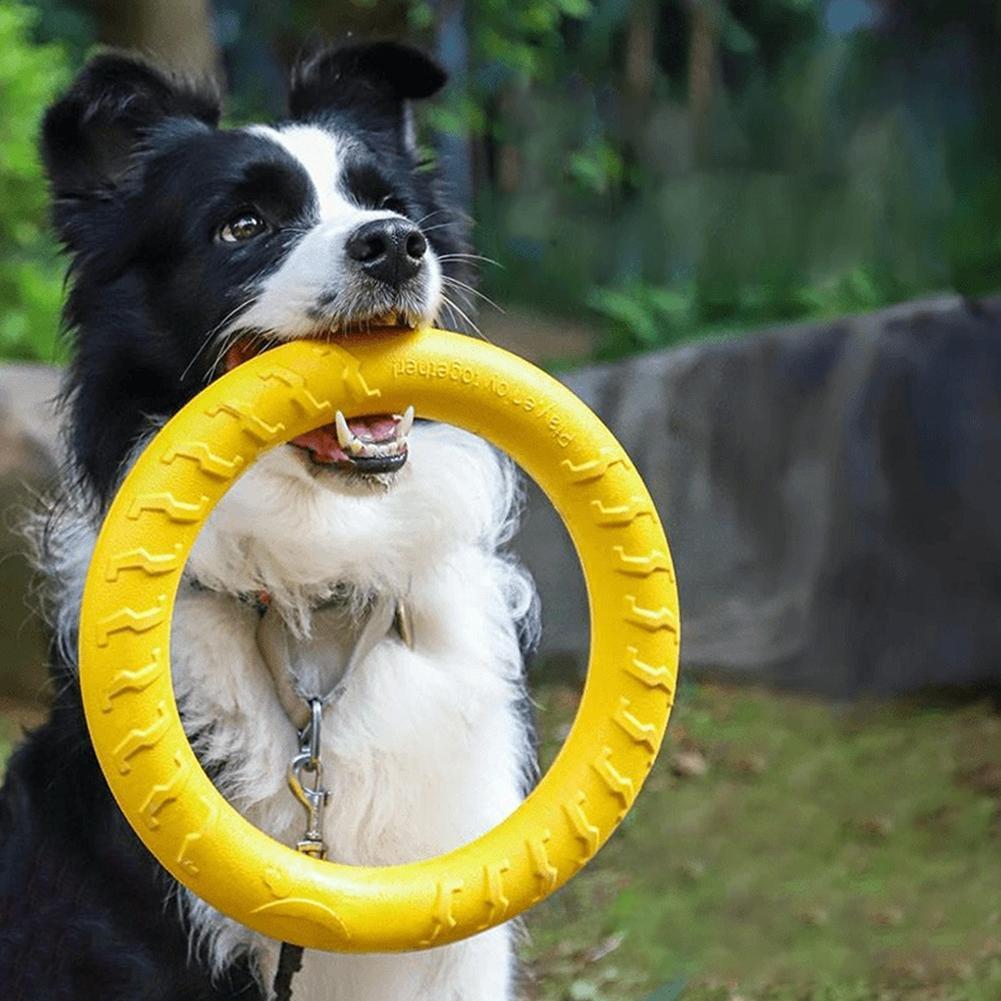 Indestructible Dog Chew Toy - Mainan Cincin Anjing yang Tahan Lama,