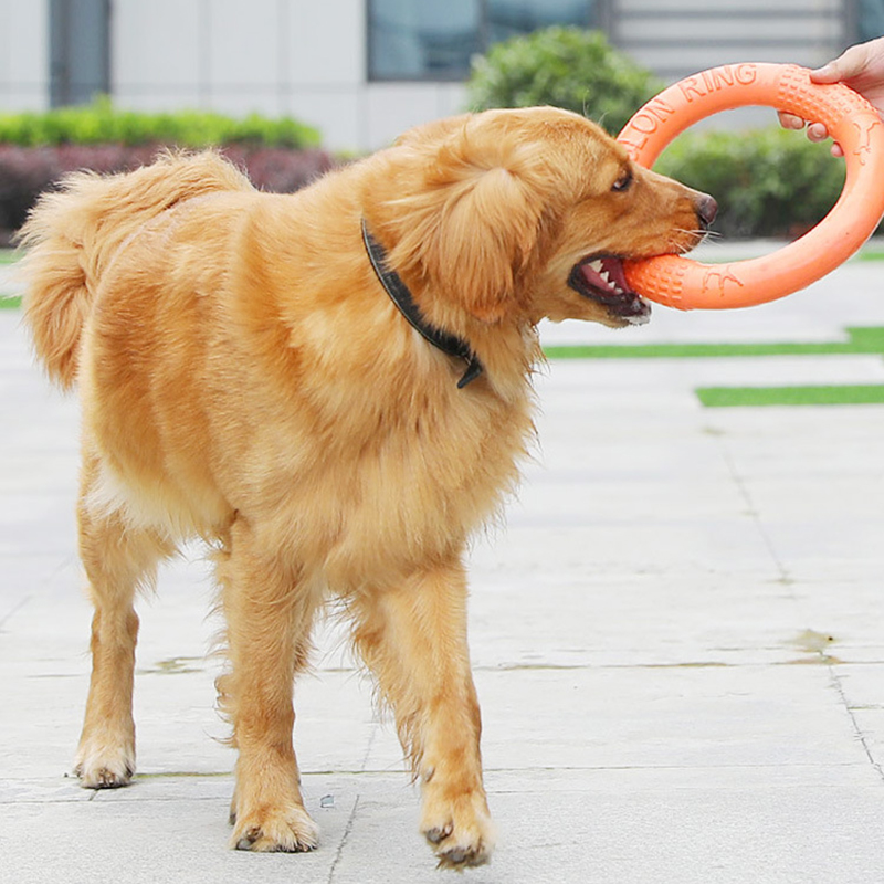1 buah mainan anjing hewan pel - Snuffle Mat For Dogs ulasan dan harga