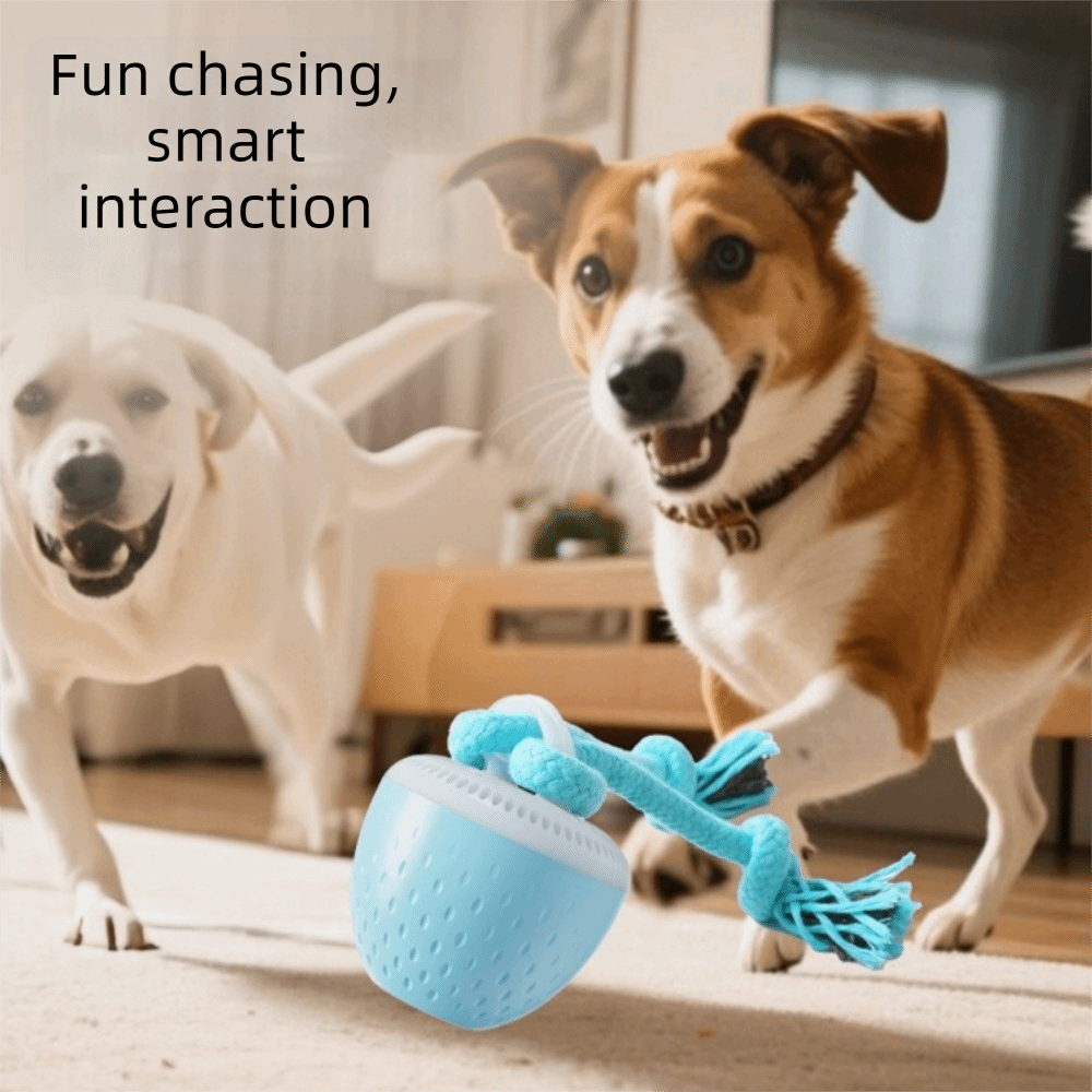Bola Mainan Hewan Peliharaan P - Automatic Moving Dog Ball ulasan dan harga