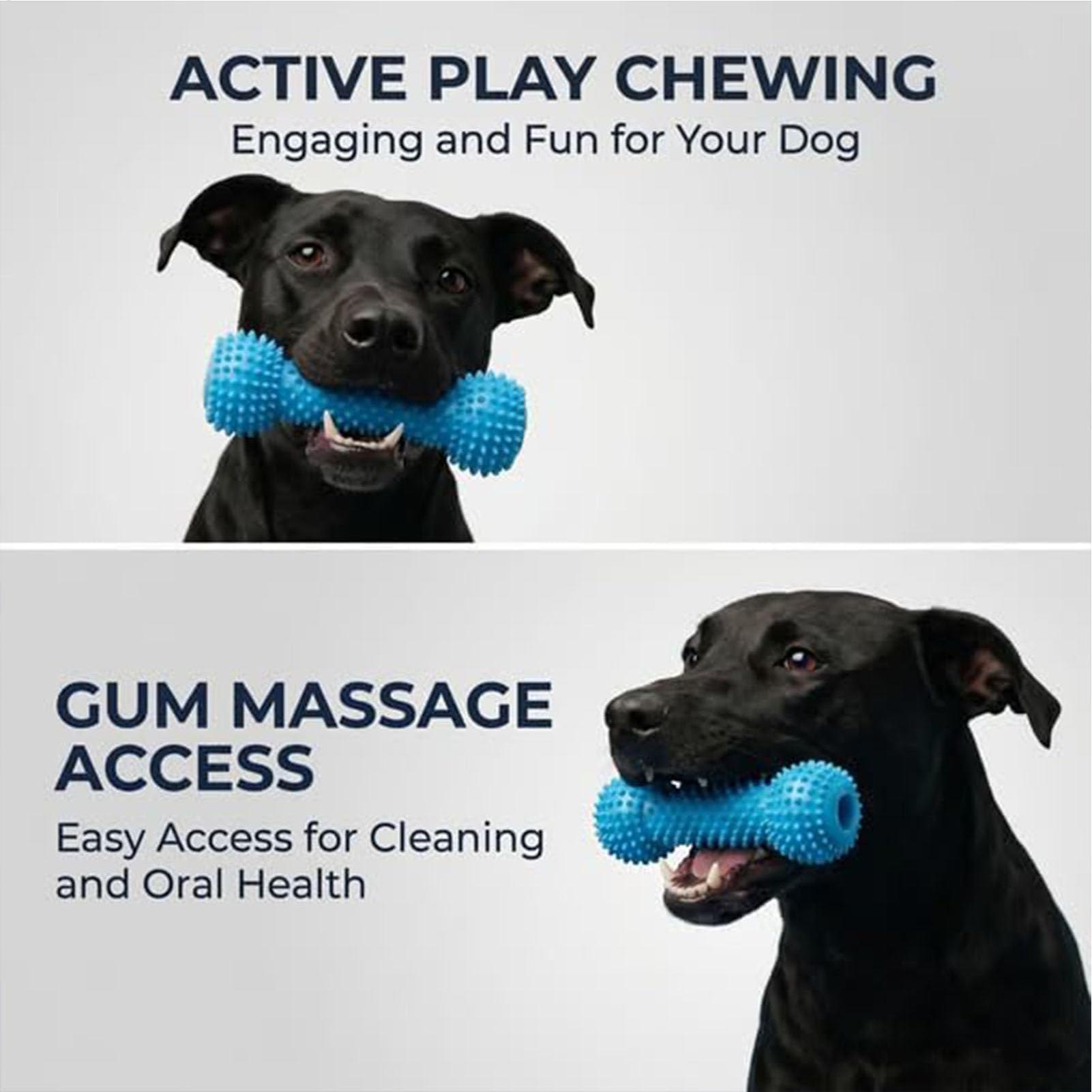 Mainan Sikat Gigi Anjing, Tong - Rubber Treat Dispensing Dog Toy ulasan dan harga