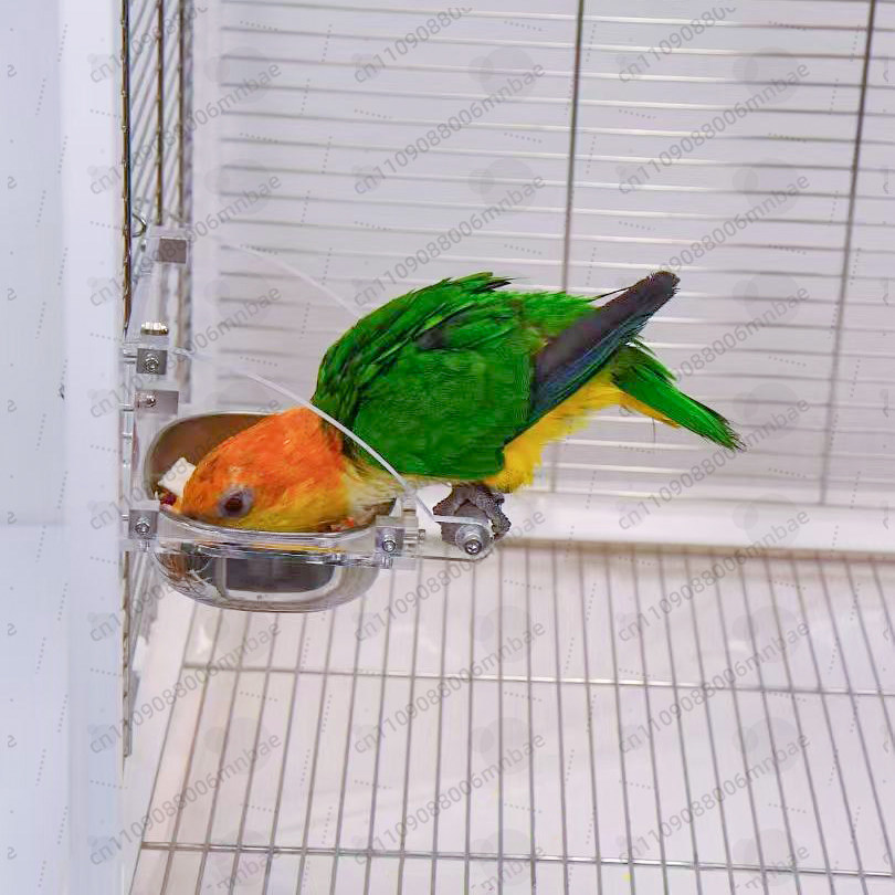 Kotak makanan burung beo baja  - Pet Feeders ulasan dan harga