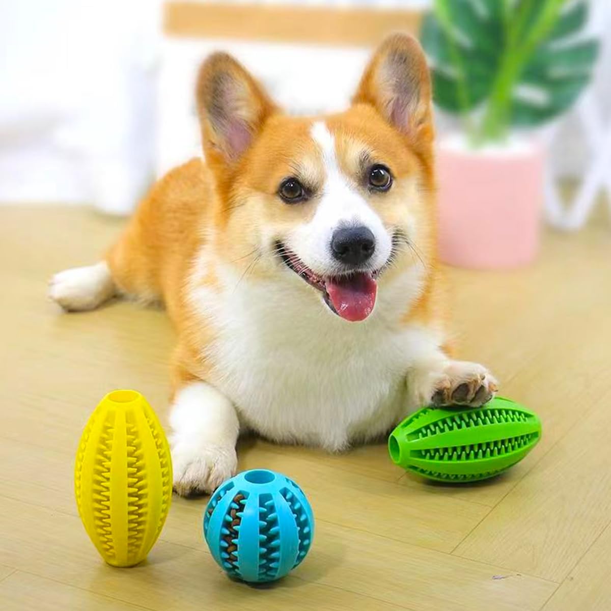 Mainan kunyah anjing peliharaa - Indestructible Dog Chew Toy ulasan dan harga