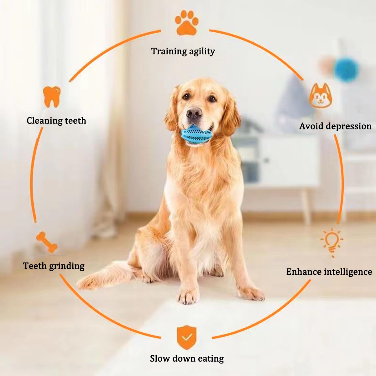 Mainan kunyah anjing peliharaa - Indestructible Dog Chew Toy ulasan dan harga
