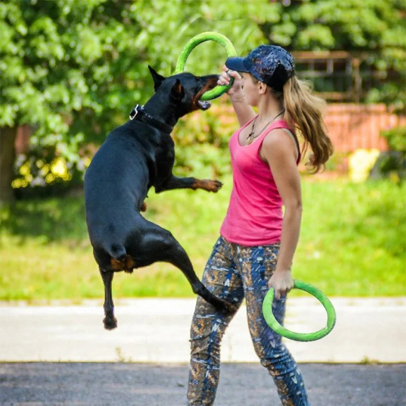 Mainan anjing hewan peliharaan - Indestructible Dog Chew Toy ulasan dan harga