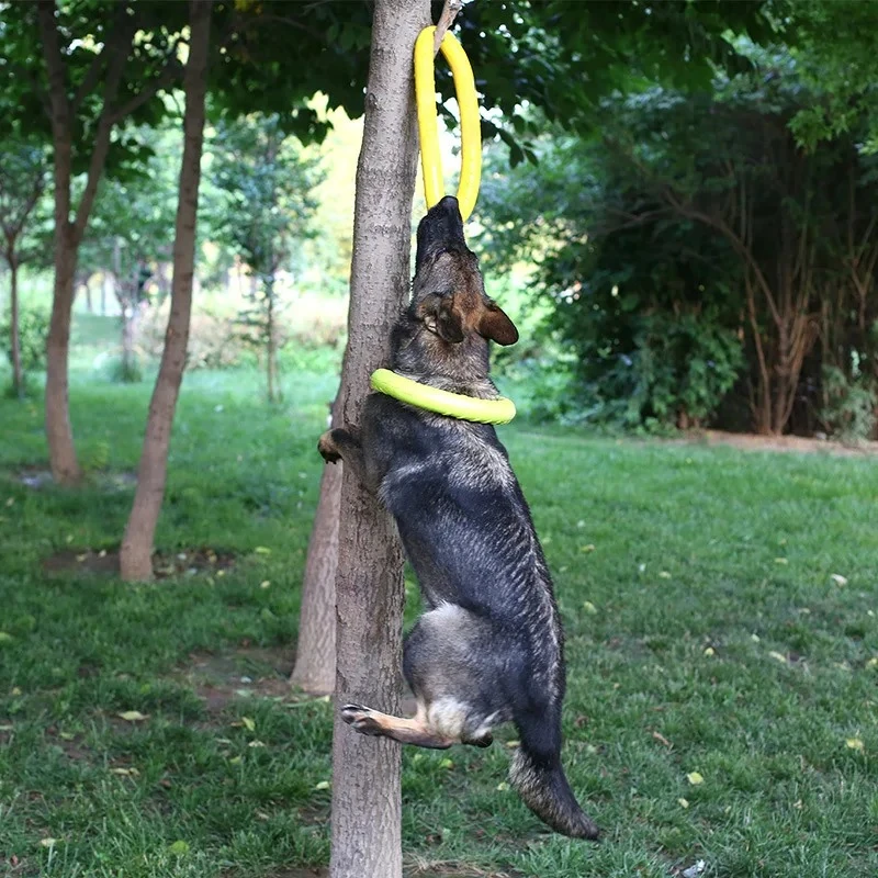 Mainan anjing hewan peliharaan - Indestructible Dog Chew Toy ulasan dan harga