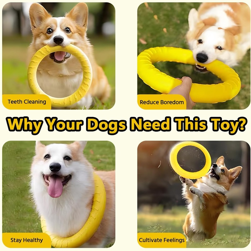 Mainan Anjing, Cakram Terbang  - Flying Disc Dog Training Toy ulasan dan harga