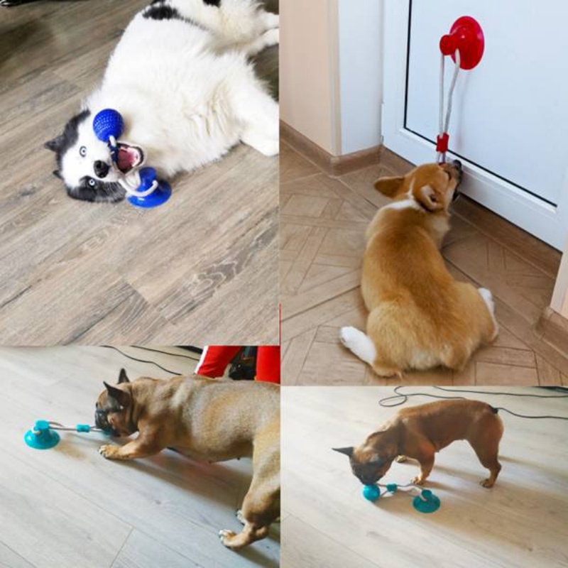 Mainan Tarik Anjing dengan Suc - Suction Cup Dog Tug Toy ulasan dan harga