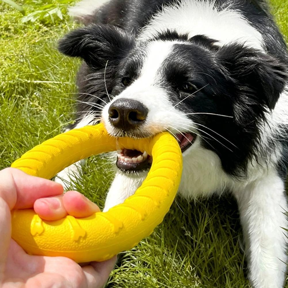 Mainan Cincin Anjing yang Taha - Indestructible Dog Chew Toy ulasan dan harga