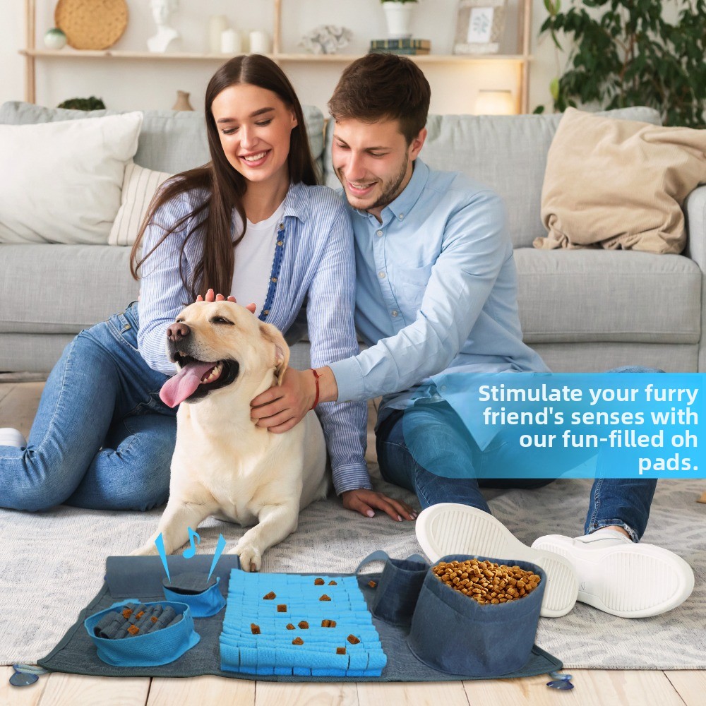 Matras Snuffle Anjing Interakt - Snuffle Mat For Dogs ulasan dan harga